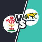 wales-vs-argentina-prediction