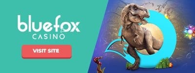 Bluefox-Banner