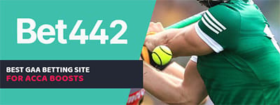 bet442-sport-banner