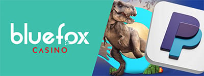 bluefox-banner