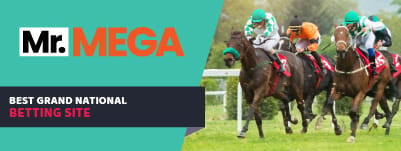 mr mega grand national betting