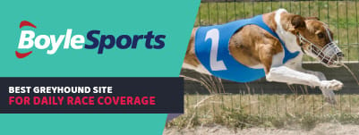 boylesports-banner