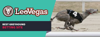 leovegas-banner